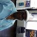 Profile Picture of Patrick Hannah (@patrick.hannah.58555) on Facebook