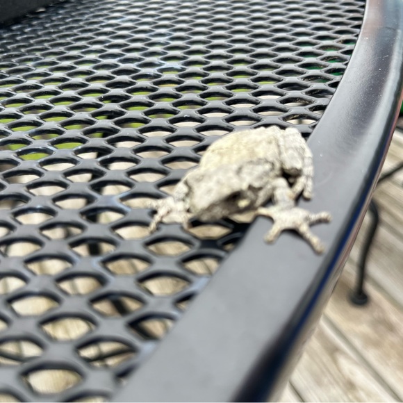 Profile Picture of Arizona Filyaw (@arizonafilyaw17) on Poshmark