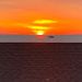 Profile Picture of David Steinkamp (@dsteinkamp88) on Pinterest