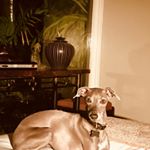 Profile Picture of Randy Fred (@randyfred1422) on Instagram