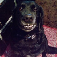 Profile Picture of Jason Royse (@jason-royse) on Quora