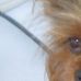 Profile Picture of Debbie Todor (@debbie.todor.5) on Facebook