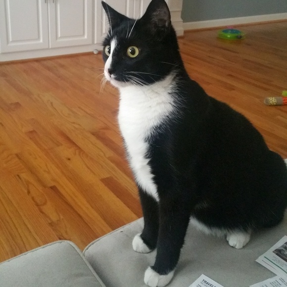 Profile Picture of Veleeta Rookard (@carletter607) on Poshmark