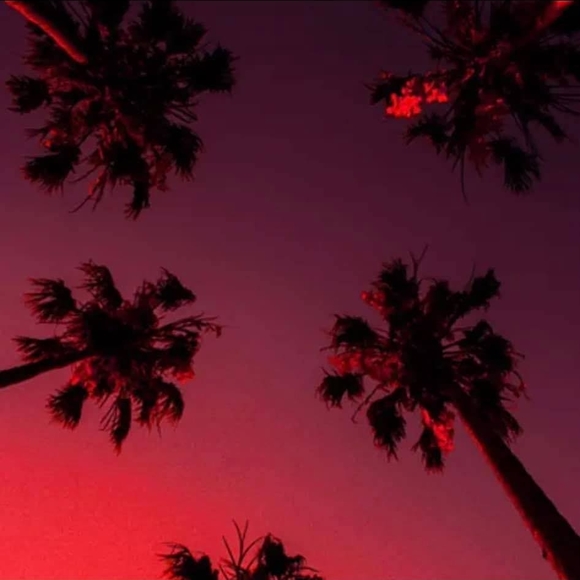 Profile Picture of Marcelo hector Ochoa (@terks79) on Poshmark