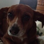 Profile Picture of Rusty Andrews (@rusty_47) on Instagram