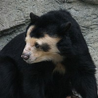 Profile Picture of Teddy Foster (@teddy-foster-7) on Quora