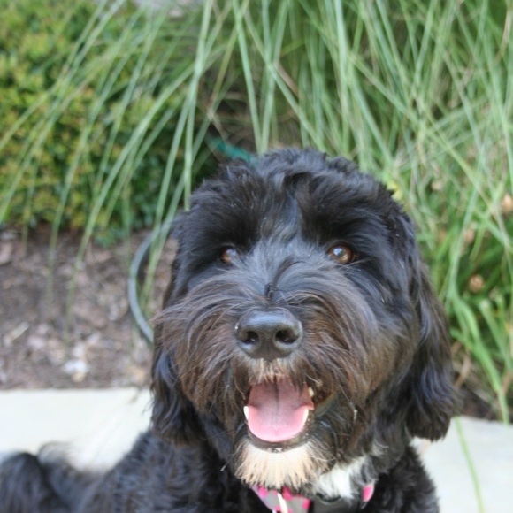 Profile Picture of Alex Mccaffity (@alexmc922) on Poshmark