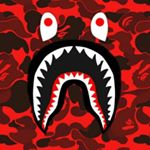 Profile Picture of James Bailey (@jamesbailey392) on Instagram