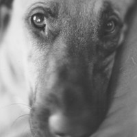 Paul Syverson - Quora Profile Picture of Paul Syverson (@paul-syverson-1) on Quora