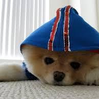 Profile Picture of Cheng Jue Ling (@SzideeLing) on Twitter