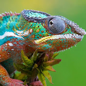 Profile Picture of Tyler Spalding (@tylerspalding3398) on Youtube