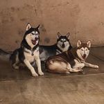Profile Picture of Mr.Tyron Mrs.Jude Mss.Soe (@tyron.jude.soe) on Instagram