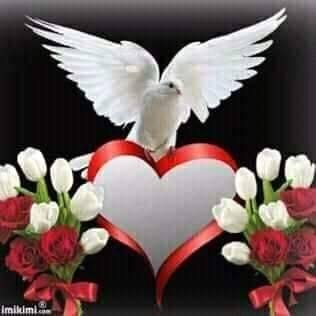 Kaya Sezek - Facebook Profile Picture of Kaya Sezek (@kaya.sezek.180) on Facebook