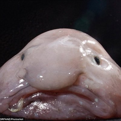 Profile Picture of Jimmy Cason (@voltcom420) on Twitter