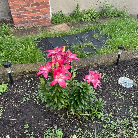 Profile Picture of Jessica Devita (@bellaa86) on Poshmark