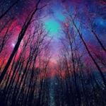 Profile Picture of Gabriel Wong Kang Yong (@gabrielwong660) on Instagram