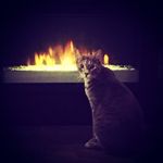 Profile Picture of Walter Fields (@fields.walter) on Instagram