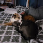 Profile Picture of Timothy Joslin (@timothyjoslin1178) on Tiktok