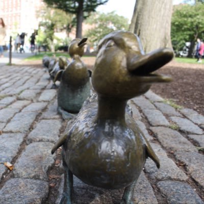 Profile Picture of Quills (@connielopes) on Twitter