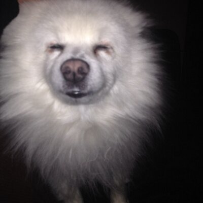 Profile Picture of Barry Jacobson (@bwj1096) on Twitter