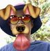 Profile Picture of Zachary Jacques (@zachary.jacques.77) on Facebook