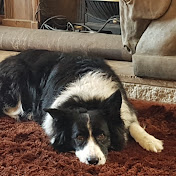 Profile Picture of Robert Kidd (@ambulancekidd) on Youtube