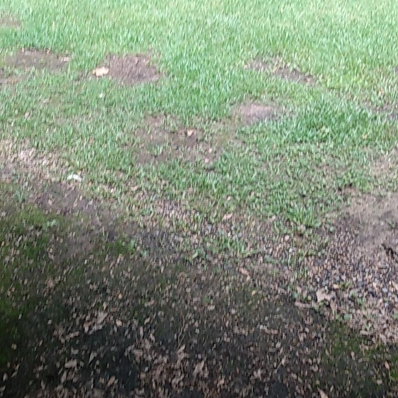 Profile Picture of Kevin Hill (@khillws41) on Poshmark