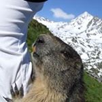 Profile Picture of Marianne Schulte (@marianne.schulte) on Instagram