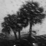 Profile Picture of kylie shay (@kylieshaybrewer) on Instagram