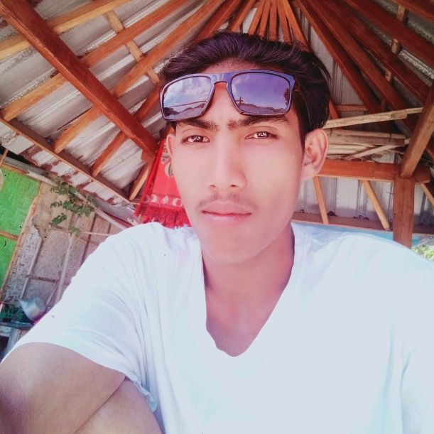 Profile Picture of sari4 (@sarilam6) on Tiktok