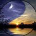 Profile Picture of Racheal Barrett (@racheal1772) on Pinterest