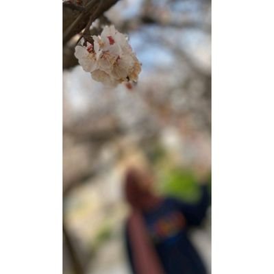 Profile Picture of Hala Matar (@HalaMatar7) on Twitter