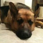 Profile Picture of Joe Darling (@josephdarling1976) on Instagram