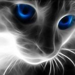 Profile Picture of Tina Willey (@tina.willey) on Instagram