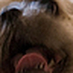 Profile Picture of Chris Gomez (@scratchex) on Flickr