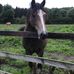 Profile Picture of Peter Grimes (@peter.grimes.37604) on Facebook
