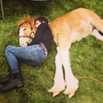 Profile Picture of Jen Spink (@jen.spink1991) on Instagram