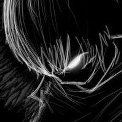 Profile Picture of Carl Johannes Gamboa (@CarlGamboaXD) on Twitter