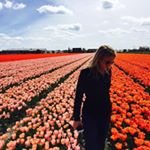 Profile Picture of Elizabeth (@elizabethbohr) on Instagram