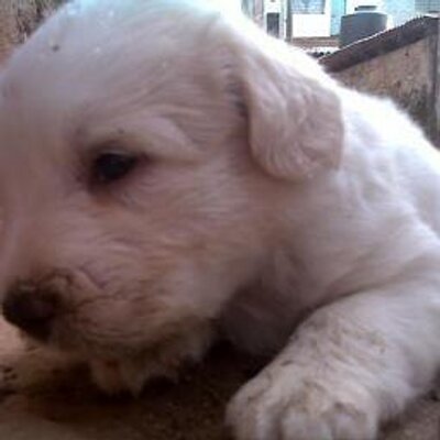Profile Picture of Catherine Key (@catherinekey15) on Twitter