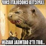 Profile Picture of Luca Johnson (@lucajohnson4) on Instagram