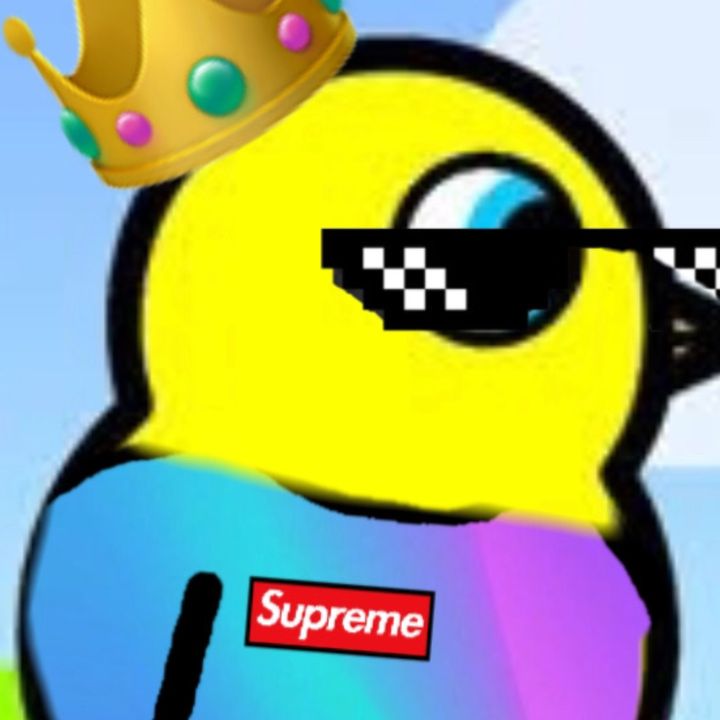 Profile Picture of aarongiese (@@ducklife_superme) on Tiktok