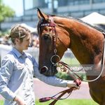 Profile Picture of Clare Porter (@clarebear1705) on Instagram