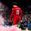 Profile Picture of Joseph Trimboli (@@trimmerstv) on Tiktok