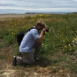 Profile Picture of Scott Roberts (@scottwroberts101) on Flickr