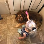 Profile Picture of Richard Gibbons (@richard.gibbons.1257) on Facebook