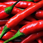 Profile Picture of Yang Ding (@yangding8703) on Youtube