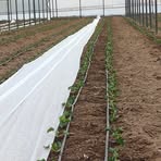 Profile Picture of Aydın Demir (@ayd.n.demir.284116) on Facebook