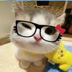 Profile Picture of Cajlin Katara (@cajlinkatara.cruzdanoog.9) on Facebook