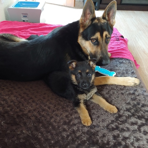 Profile Picture of Eric Carleton (@ecar450) on Poshmark